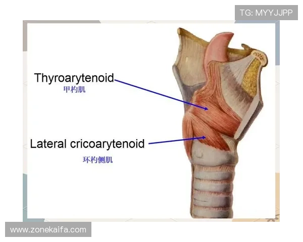 牛牛的繁殖技术与育种方法详尽解析